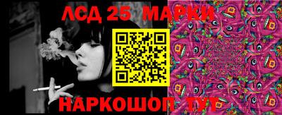 дмт Славгород