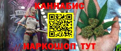 дмт Славгород