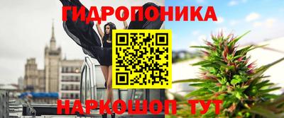 дмт Славгород